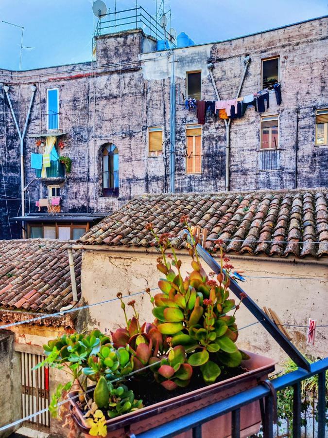 Vico Viscuso * Catania